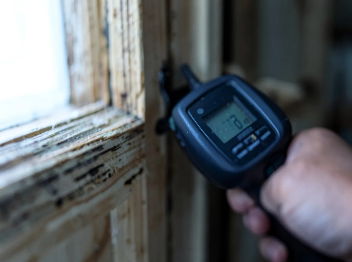 Moisture Inspection And Documentation in Lopez, PA